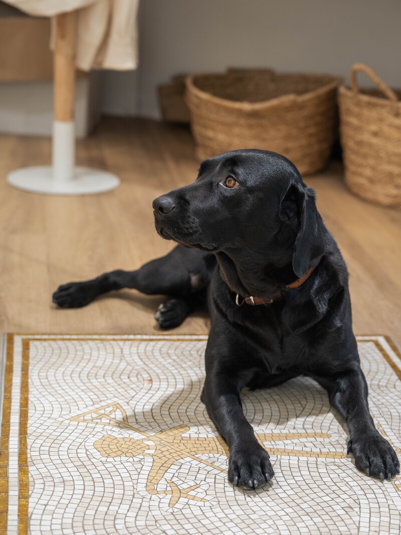 Instagram - Les Touquetoises