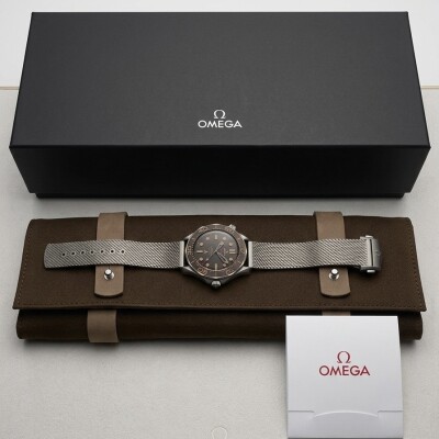 OMEGA SEAMASTER DIVER 300M ED 007