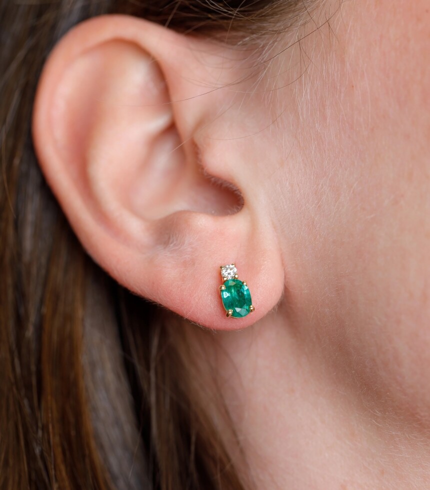 Nos puces d'oreilles