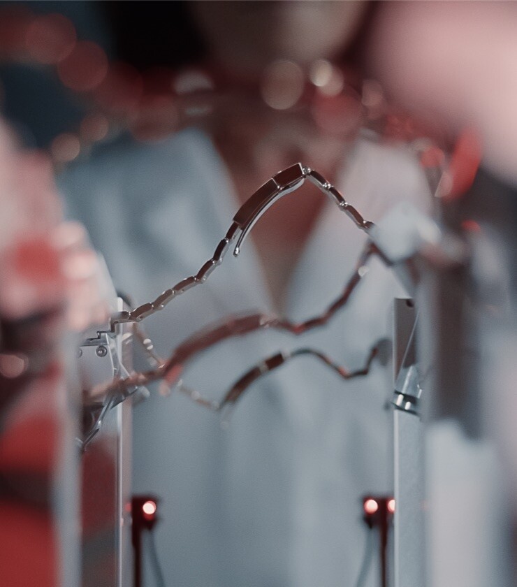 Rolex-vakmanschap - Nys