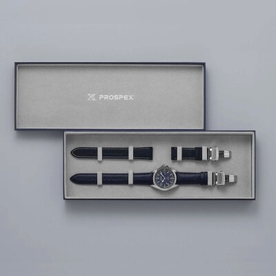 Montre Seiko Prospex Alpinist Night Sky Edition limitée SPB531J1