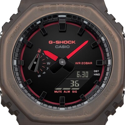 Montre G-Shock Smoke Light GA-2100K-5AER