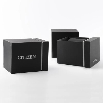 Montre Citizen Pormaster Tsuno Chrono AN3660-81A