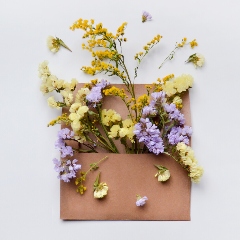 e-carte-cadeau-Piery