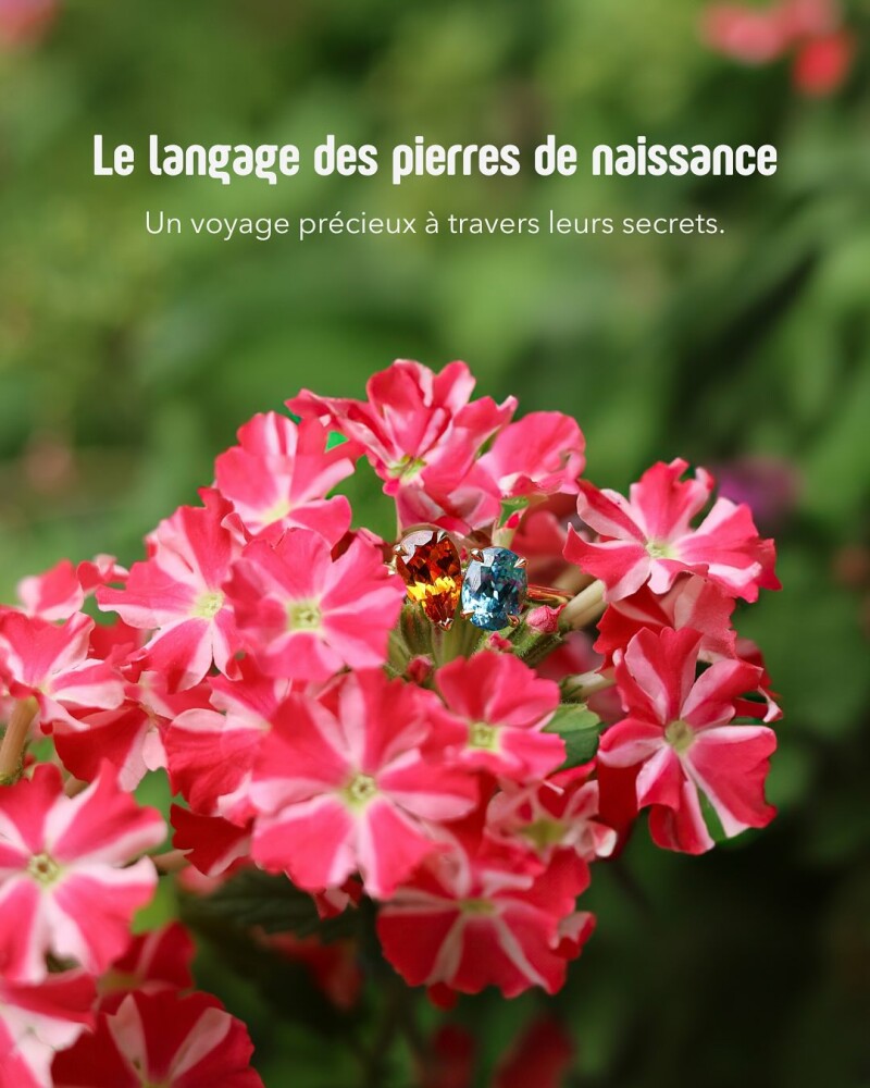 Retrouvez-nous sur instagram
