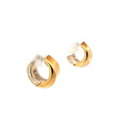Boucles d'oreille bicolor