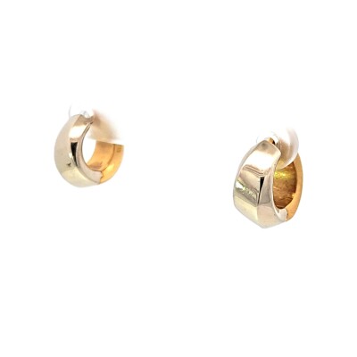 Boucles d'oreille bicolor