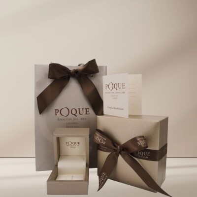 Boucles d'oreilles en or blanc et diamants