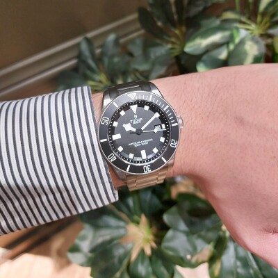 Tudor Pelagos
