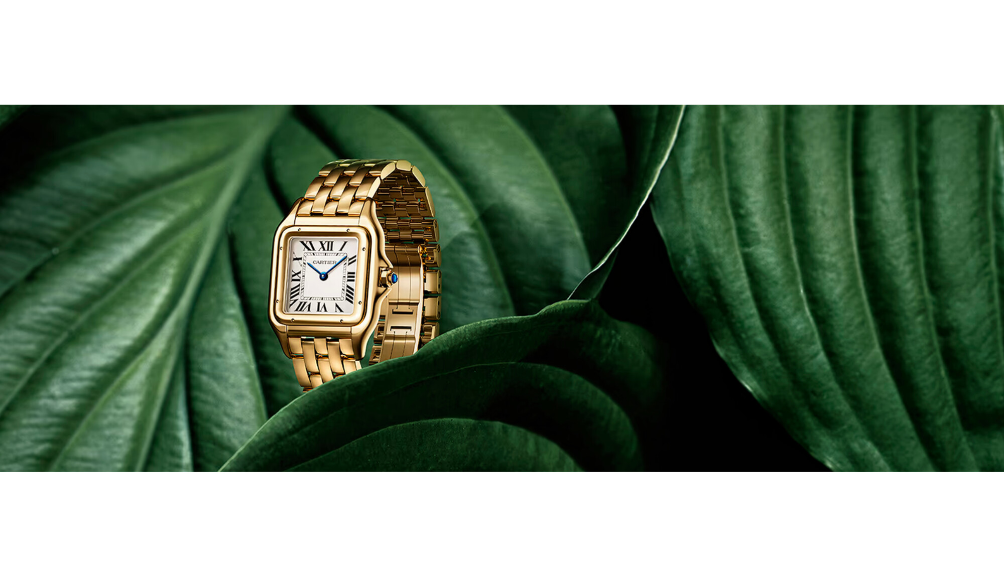 Cartier Panthère de Cartier