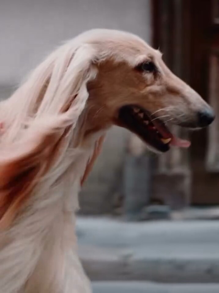 Retrouvez-nous sur instagram