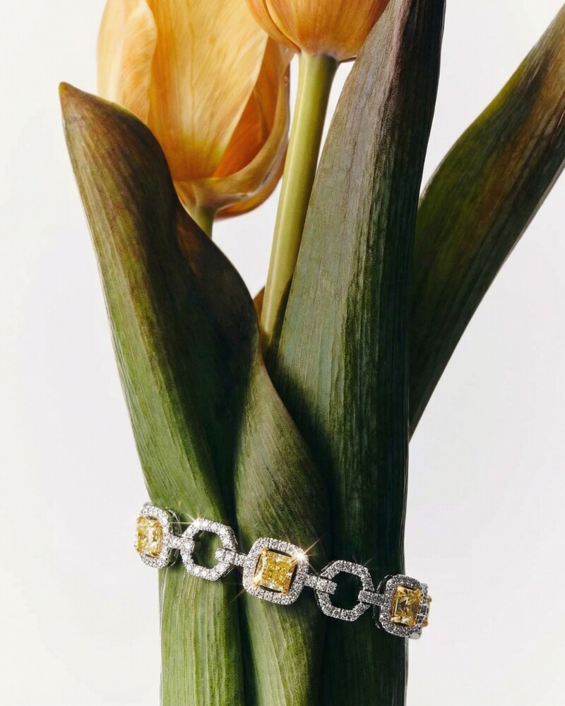 Retrouvez-nous sur instagram