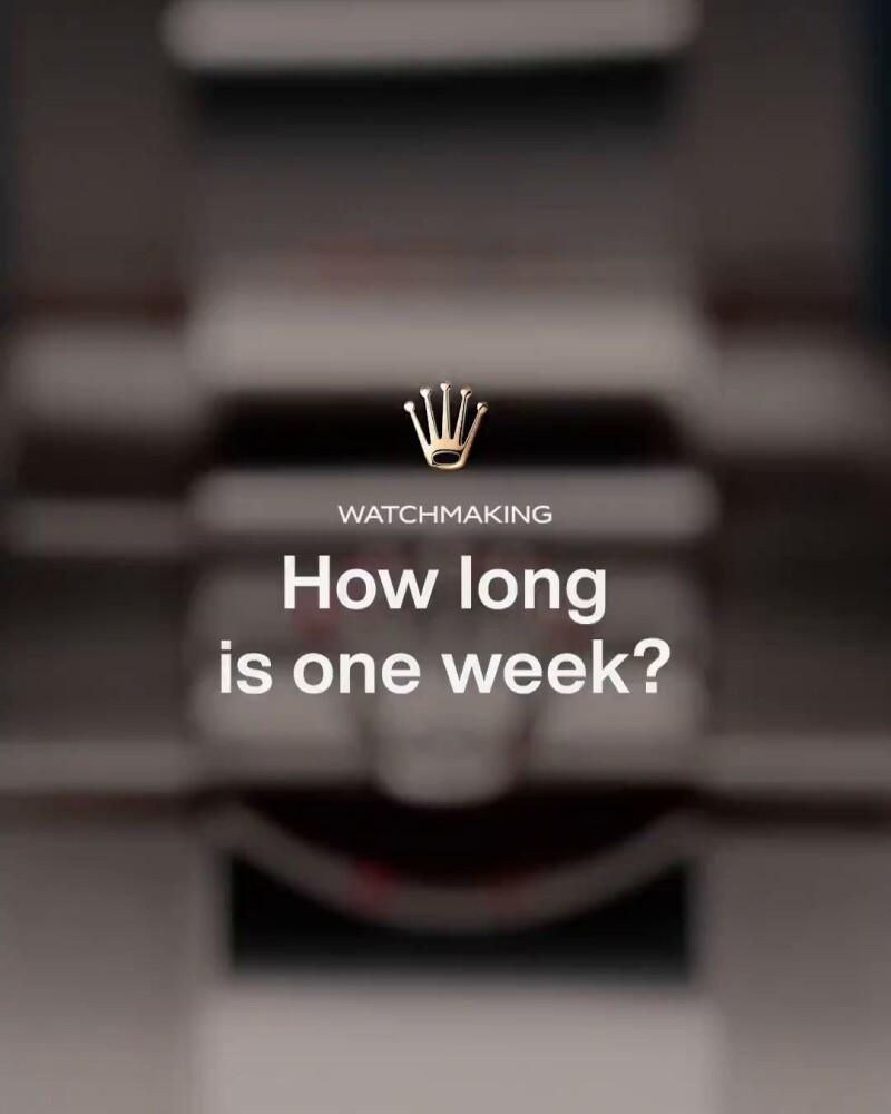 Instagram - Shemer Bedford Centre