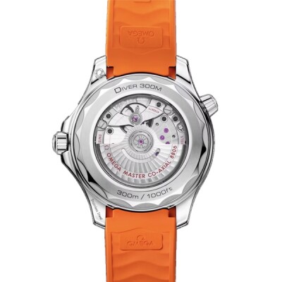 OMEGA Seamaster Diver 300M Co-Axial Master Chronometer 42mm watch