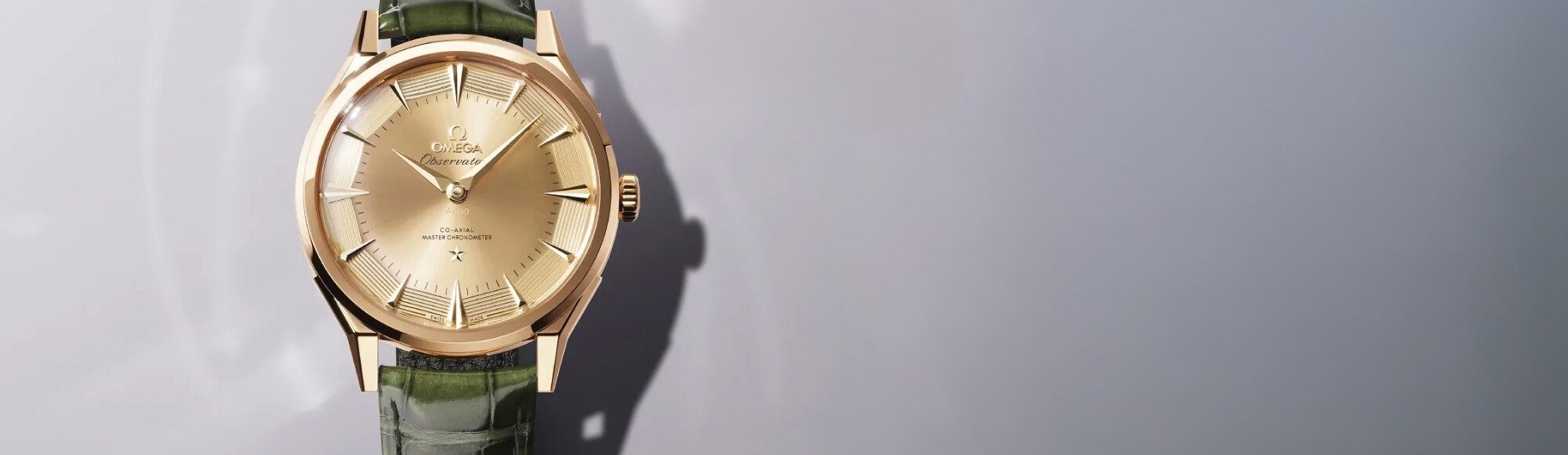 OMEGA Seamaster Planet Ocean watches