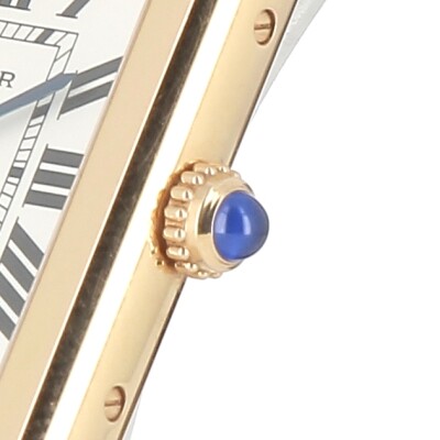 Tank Solo or rose et acier