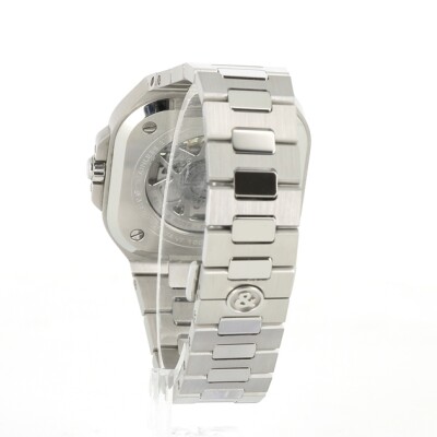 BR 05 Skeleton Green