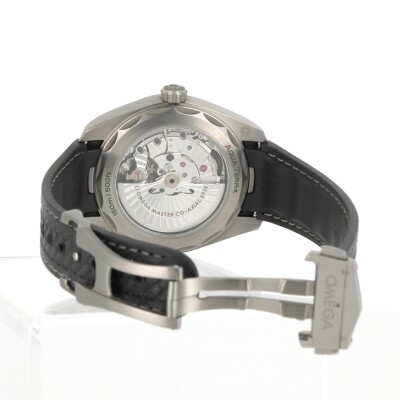 Seamaster Aqua Terra GMT Worldtimer 43mm