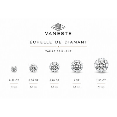 Collier Evidence or blanc et diamant 1,30 carat