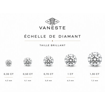 Collier Evidence or blanc et diamant 1,00 carat