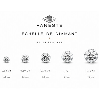 Collier Evidence or blanc et diamant 0,80 carat