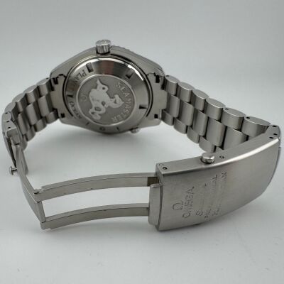 Omega Seamaster Planet Ocean 600M